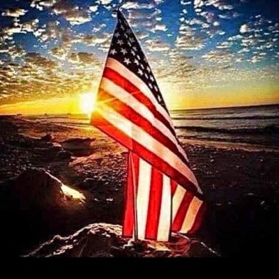 Floridabound15's profile picture. 