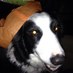 northshoreniall (@northshoreniall) Twitter profile photo northshoreniall (@northshoreniall) Twitter profile photo