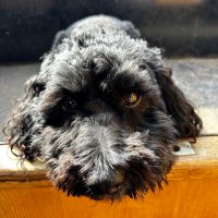 Pete Jackson #FBPE๐๐ป๐บ๐ฆ๐๐๐ช๐บ๐พ๐ป๐ (@petej134) 's Twitter Profile