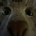wheresnat7 (@360dazai) Twitter profile photo wheresnat7 (@360dazai) Twitter profile photo