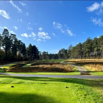 AaronFpl2024's profile picture. Follow my fpl journey for the 24/25 season