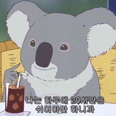 choki_co's profile picture. Salamanca 그리운 쎄뇨라