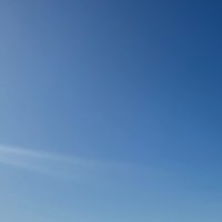 JD (@joeydaytona843) 's Twitter Profile
