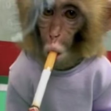 Thelonias3's profile picture. I am but a humble chimp online.
