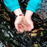 Zel Ouse (Hazel F-R) 🔶 #FBPPR (@zel_ouse) 's Twitter Profile