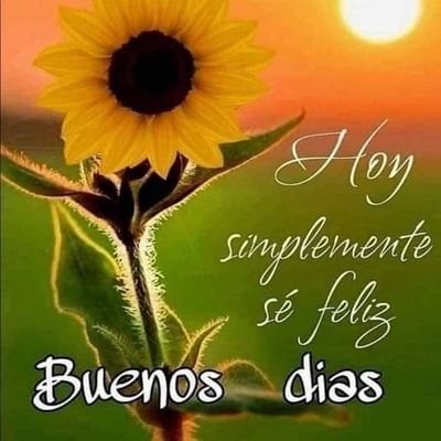 laindomabl3_'s profile picture. 