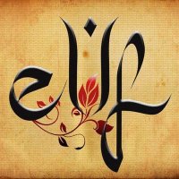 elifan (@elifan_81) 's Twitter Profile