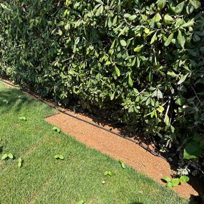 _Pausg's profile picture. 