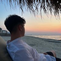 vlad (@vladpsd) 's Twitter Profile