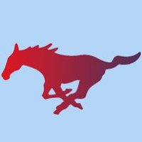 Tampa Mustangs - KV 09 (@tampamustangskv) 's Twitter Profile