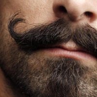 𝐒𝐇𝐑𝐆𝐇𝐎𝐁 (@g856729) Twitter profile photo