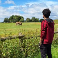 Mohamed Bakry (@mohamed80900769) Twitter profile photo