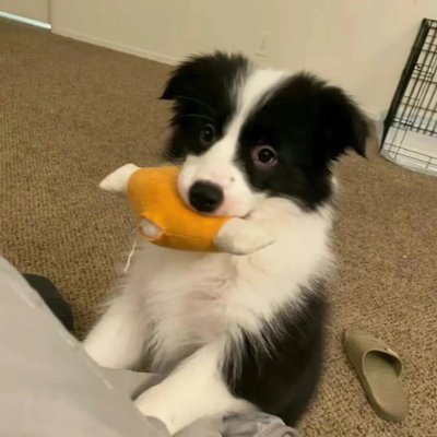 #BTC #ETH #Crypto
Crypto Enthusiast/Crypto Analyst
Discover more fun with X✨