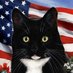 KiTTenKaT 🐈⬛ (@kittenkatmeower) Twitter profile photo KiTTenKaT 🐈⬛ (@kittenkatmeower) Twitter profile photo