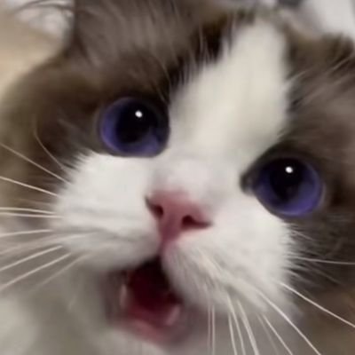 gimmins49624334's profile picture. 