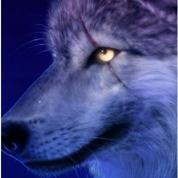 hu6167's profile picture. HERO