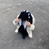 み (@misakidayoh) 's Twitter Profile