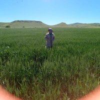 Müzdelife Yılmaz🇹🇷 (@muzdeliife) 's Twitter Profile Photo Müzdelife Yılmaz🇹🇷 (@muzdeliife) 's Twitter Profile Photo