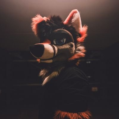 Male | 🐺 | Certified Dork | AWD | stoked af | 🍊 | DM’s Open| Suit: @MilesFurStudios