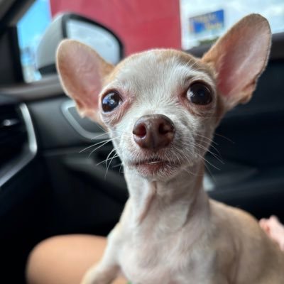 MarisolPor66083's profile picture. 