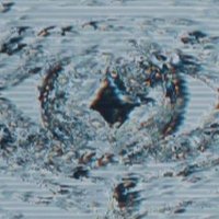 Seki (@altair_lumina) 's Twitter Profile