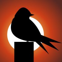 Rizwan (@rizwow) 's Twitter Profile