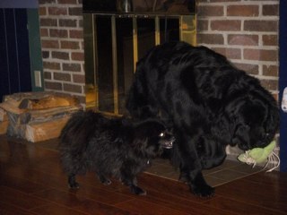 Weldsf's profile picture. Christian, Husband