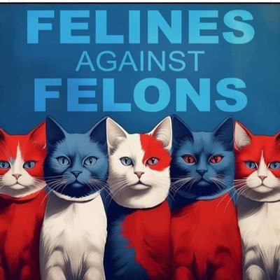 Pollyanna type human, more progressive every day, PMP, cat wrangler, headstrong /s, she/her - fan of wine, love, travel, laughter, science - opinions are my own