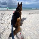 Misty Farmer - @FarmerMN22 - Twitter