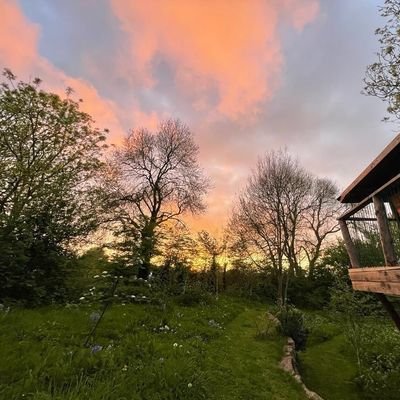 maokai1989's profile picture. Another guy trying to stop the misinformation!