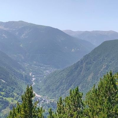 n_d09110's profile picture. 