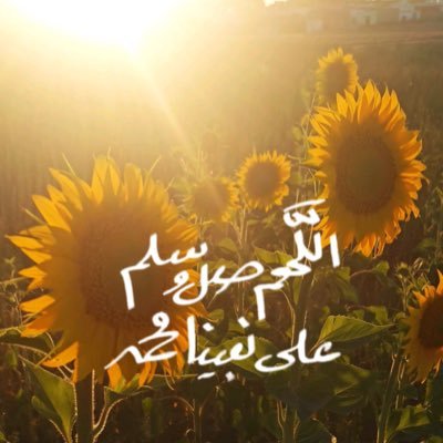 ruqaihalquwaee's profile picture. مهندسة حاسب💻