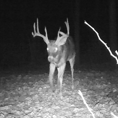 Archer267's profile picture. 