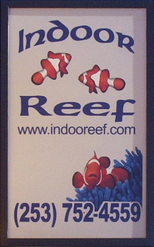 indooreef99's profile picture. Create your own Saltwater Oasis.