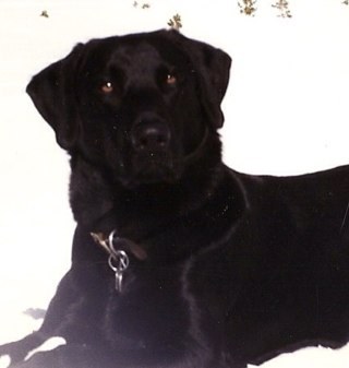 ggs_greg's profile picture. 