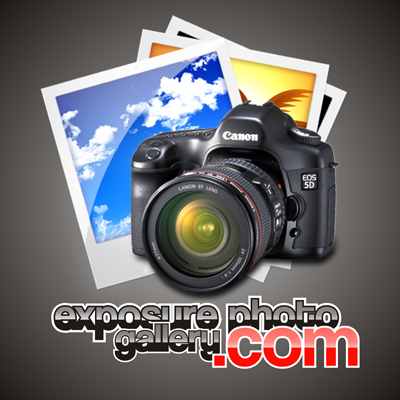 exphotogallery's profile picture. All about digital camera and photography. Free tutorials, tips, reviews, and photo gallery