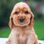 laG380's profile picture. nouvelle objectif