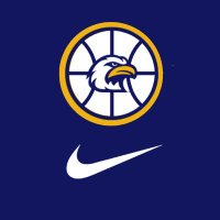 Liberty North Basketball (@lneaglehoops) 's Twitter Profile