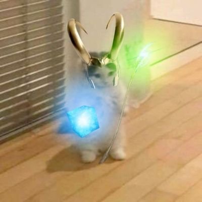 abii0613's profile picture. Never give up and fight for what you want 💖