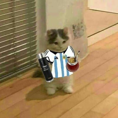 xavi_valenti's profile picture. 