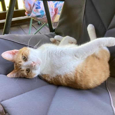 MTMT1612's profile picture. 