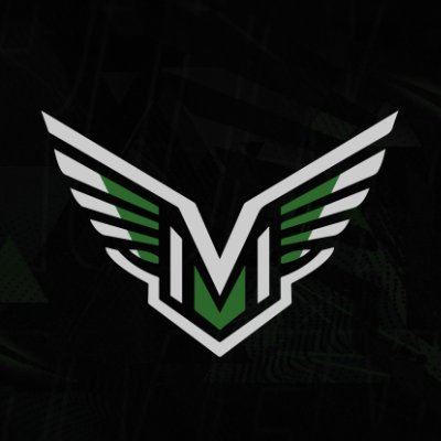 Official X page for #VerumMomentum | The Right Moment for change | Breaking the #MentalHealth stigma in esports | Est. 2024