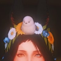 Mew (@rheshaffxiv) 's Twitter Profile