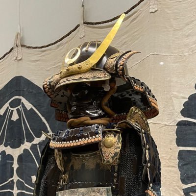 戦国時代好きの戦国時代に関する情報を集めるだけのアカウント 基本無言フォローですみません。刀剣・甲冑に興味出てきた。