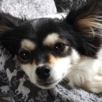 JMag (@jordiep6780) 's Twitter Profile Photo JMag (@jordiep6780) 's Twitter Profile Photo