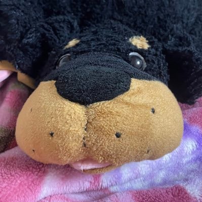 ユッカス（田中さん）さんのプロフィール画像