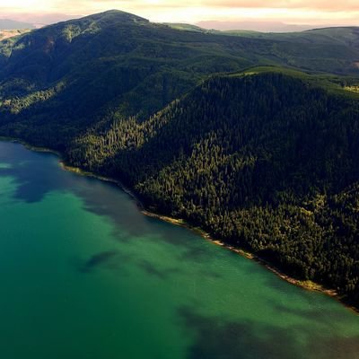 TownsendTurtle's profile picture. Just a dude