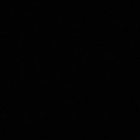 nicollefe_ (@nicollefe__) 's Twitter Profile