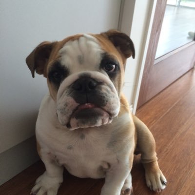 Brianna11091's profile picture. 