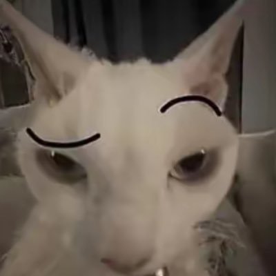 saucyzeke77's profile picture. 